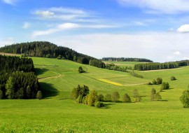 Wiosna Ach To Ty